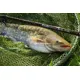 GIANTS FISHING - Prut Gaube Medium Method Feeder 12 ft 40-90 g 3 díly