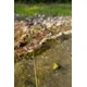 GIANTS FISHING - Prut XRS180 2,75 m 3 lb 2 díly