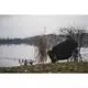 GIANTS FISHING - Sedačka Moon Chair Deluxe + přepravní taška