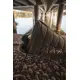 GIANTS FISHING - Spací pytel 5 Season Extreme XS Sleeping Bag
