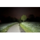 HOLDCARP - Čelovka SuperBright G&W Headlamp