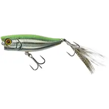 ILLEX - Popper Chubby 4,2 cm 3,3 g RT Visible Roach