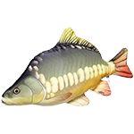 Plyšové ryby a polštáře