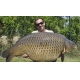 IMPERIAL BAITS - Boilies Carptrack Big Fish 20 mm 2 kg