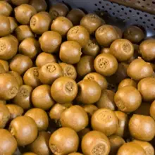 IMPERIAL BAITS - Boilies Carptrack LPP 20 mm 1 kg