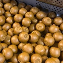 IMPERIAL BAITS - Boilies Carptrack LPP 30 mm 1 kg