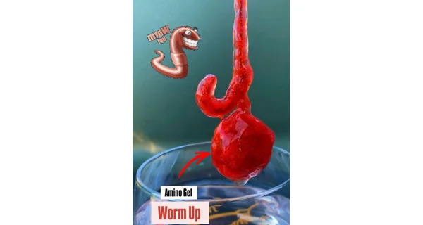IMPERIAL BAITS - Gel Carptrack Amino Worm Up 100 g