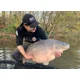 IMPERIAL BAITS - Mikina Monster's Paradise Mickev vel. L