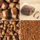 IMPERIAL BAITS - Pelety Carptrack Aminopellets 20 mm 5 kg