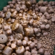 IMPERIAL BAITS - Pelety Carptrack Aminopellets 20 mm 5 kg