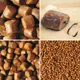 IMPERIAL BAITS - Pelety Carptrack Aminopellets 25 mm 5 kg