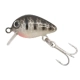 KAMASAKI - Wobler Bug Stripe Silver 2,5 cm 1,5 g