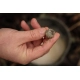 KAREL NIKL - Boilie Economic Feed Rape Cloud 20 mm 5 kg