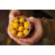 KAREL NIKL - Criticals Boilie Corn 24 mm 250 ml