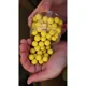 KAREL NIKL - Plovoucí boilies Citrus 16 mm 50 g