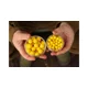 KAREL NIKL - Plovoucí boilies Corn 10 mm 20 g
