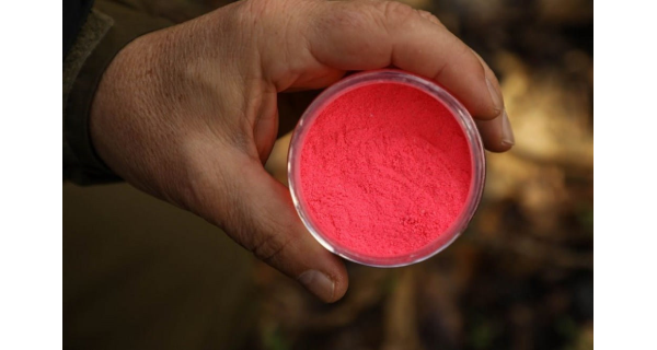 KAREL NIKL - Práškový dip Powder Dip Giga Squid 60 g