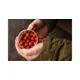 KAREL NIKL - Rozpustné Criticals boilie Devill Krill 24 mm 250 ml