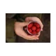 KAREL NIKL - Rozpustné Criticals boilie Krill Berry 24 mm 250 ml