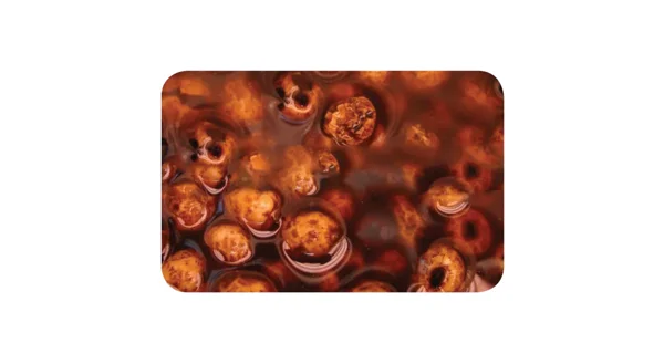 KAREL NIKL - Tygří ořech nakládaný fermentovaný KN 2 kg