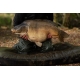 KORDA - Podložka Compac Hybrid Mat Dark Kamo