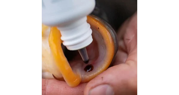 KORDA - Sada na ošetření ryb Carp Care Kit