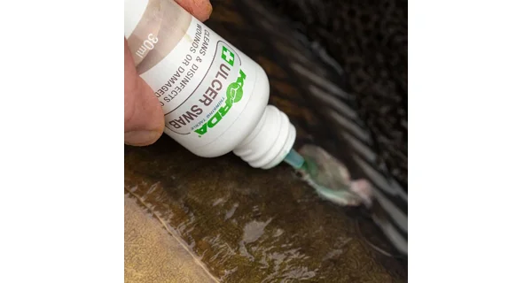 KORDA - Sada na ošetření ryb Carp Care Kit