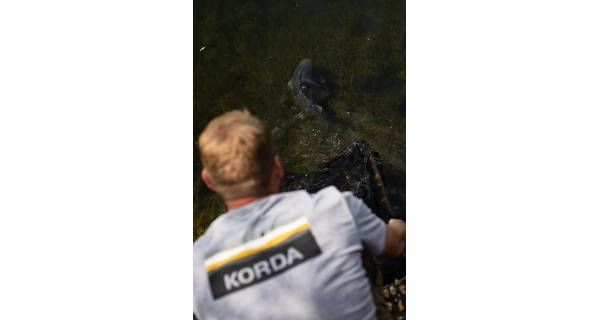 KORDA - Tričko Lakebed Tee Grey vel. L