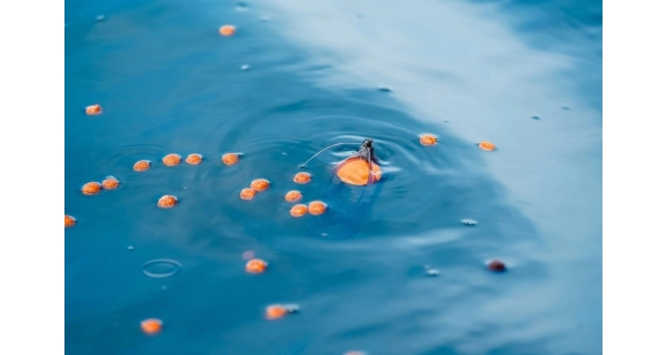 KORUM - Hladinový splávek Surface Feeder Float