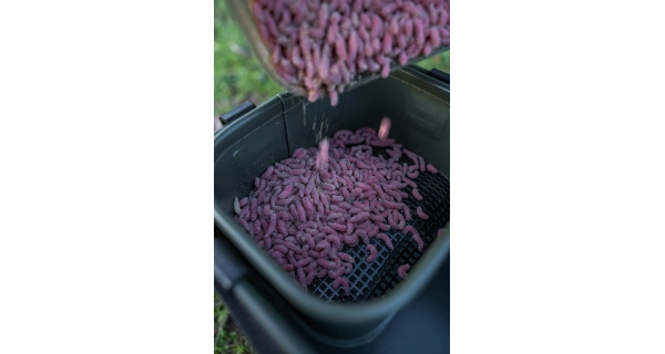 KORUM - Krabička na nástrahy Eva Bait Station