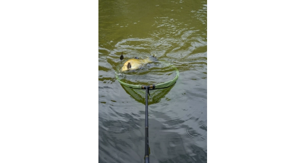 KORUM - Podběráková tyč Allrounder Multi Handle 3 m