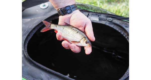 MADCAT - Skládací kbelík Foldable Live Bait Bucket 50 l