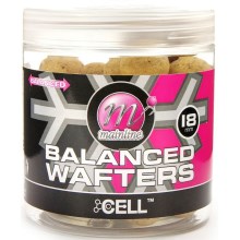 MAINLINE - Balanced Wafters Cell 18 mm