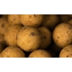 MAINLINE - Boilies Shelf Life Cell 15 mm 1 kg