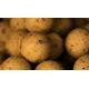 MAINLINE - Boilies Shelf Life Cell 15 mm 1 kg