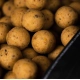 MAINLINE - Boilies Shelf Life Cell 20 mm 1 kg