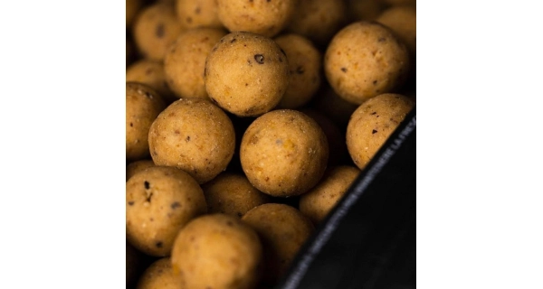 MAINLINE - Boilies Shelf Life Cell 20 mm 1 kg