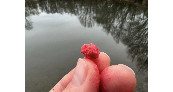 METHOD FEEDER FANS - Wafter Boilies Action Method Jahoda 12mm 150ml