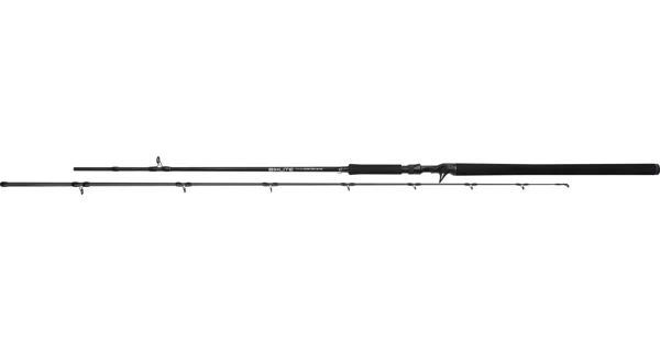 MIKADO - Prut Casting Bixlite Pike Master 2,40 m 30-105 g