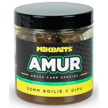 MIKBAITS - Boilie v dipu Amur Range 20 mm 250 ml