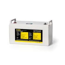 MIVARDI - Baterie M-cell 24v 100 Ah + 20 a nabíječka