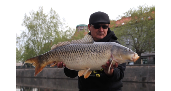 MIVARDI - Boilies Rapid Easy Catch Česnek Chilli 20 mm 950 g