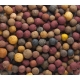 MIVARDI - Boilies Rapid Multi Mix 10 kg