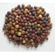 MIVARDI - Boilies Rapid Multi Mix 2,5 kg