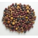 MIVARDI - Boilies Rapid Multi Mix 2,5 kg