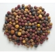 MIVARDI - Boilies Rapid Multi Mix 5 kg