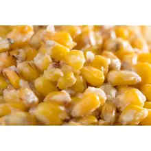 MIVARDI - Kukuřice 1 kg Vanilka