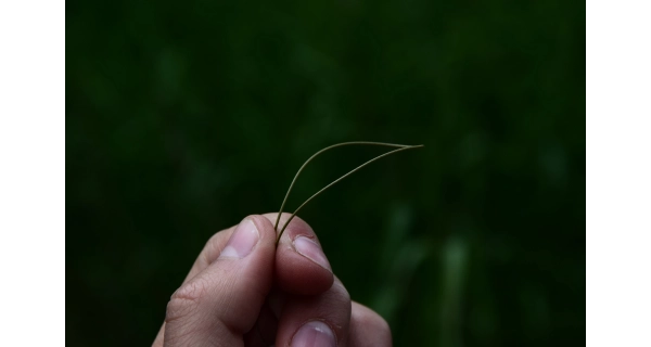 MIVARDI - Návazcová šňůrka Skinline Stripshield 15 m/25 lb Dark olive