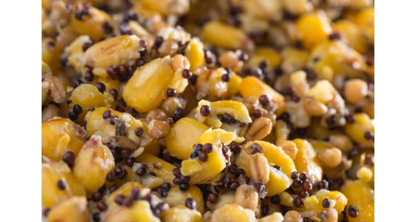 MIVARDI - Partikl Mix 2,5 kg