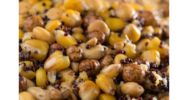 MIVARDI - Partikl Mix Premium 1 kg